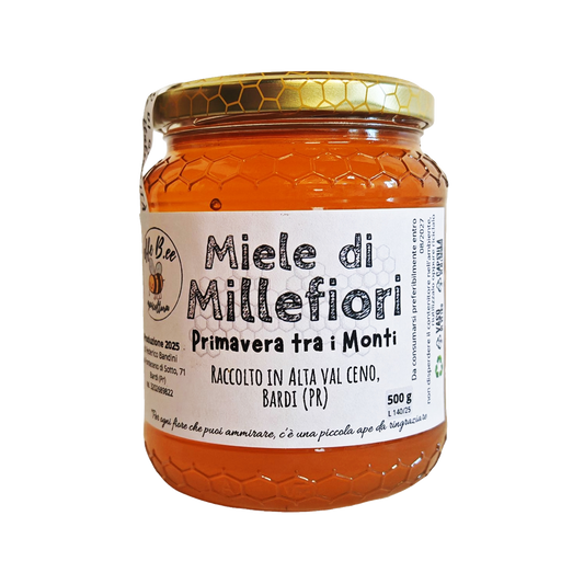 Miele italiano millefiori monti Alta Val Ceno (PR) Smielatura 2025 - 500g