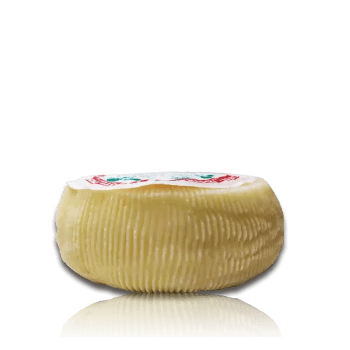 CACIOTTA NOSTRANA - 1.500g circa. - Pratichiera