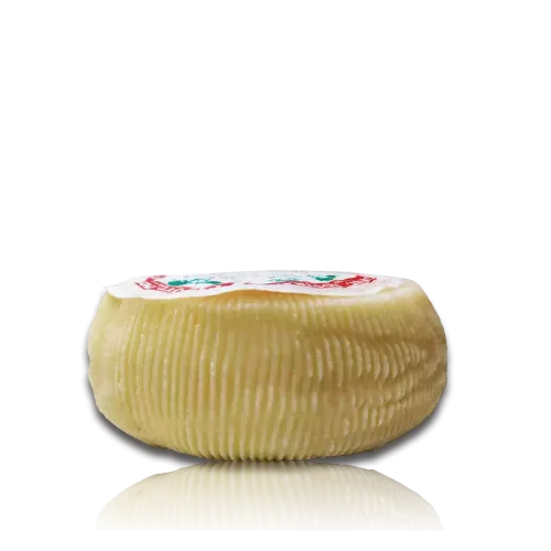 CACIOTTA NOSTRANA - 1.500g circa.